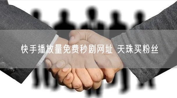 快手播放量免费秒剧网址 天珠买粉丝