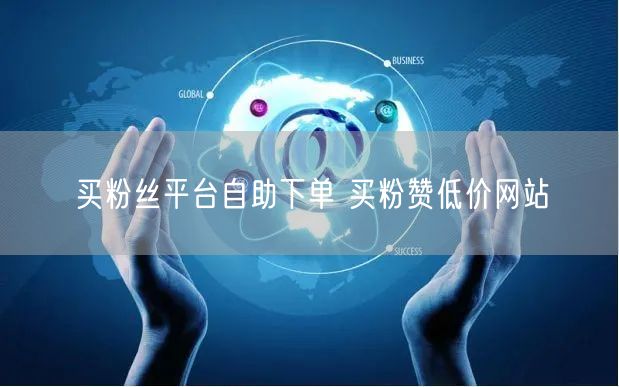 买粉丝平台自助下单 买粉赞低价网站