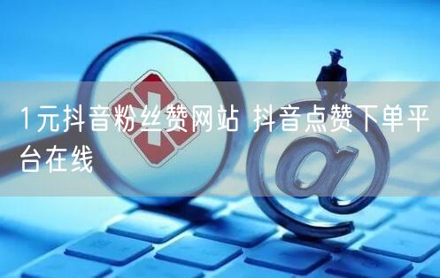 1元抖音粉丝赞网站 抖音点赞下单平台在线
