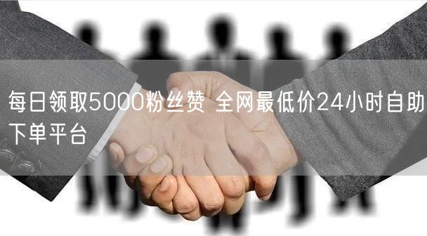 每日领取5000粉丝赞 全网最低价24小时自助下单平台