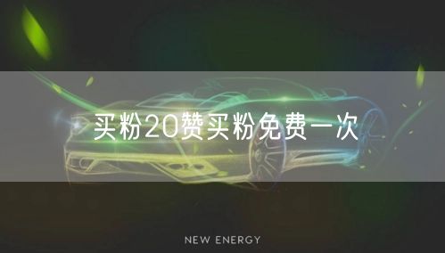 买粉20赞买粉免费一次