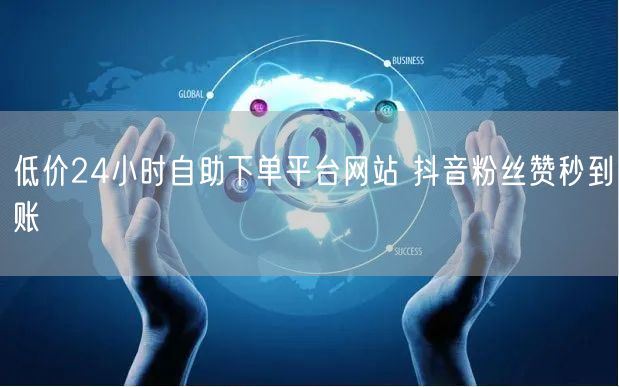 低价24小时自助下单平台网站 抖音粉丝赞秒到账