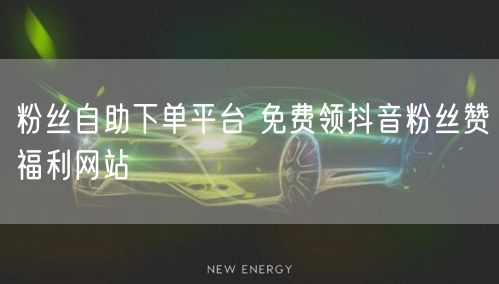 粉丝自助下单平台 免费领抖音粉丝赞福利网站