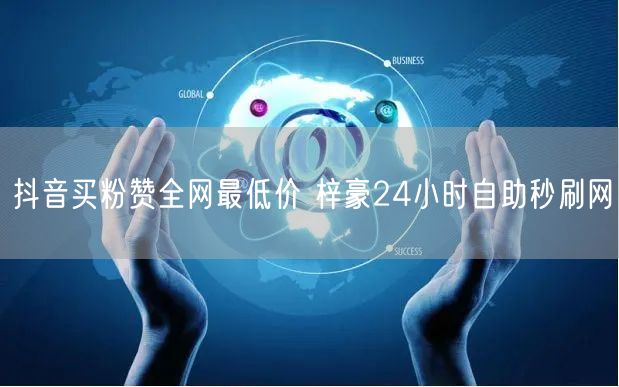 抖音买粉赞全网最低价 梓豪24小时自助秒刷网