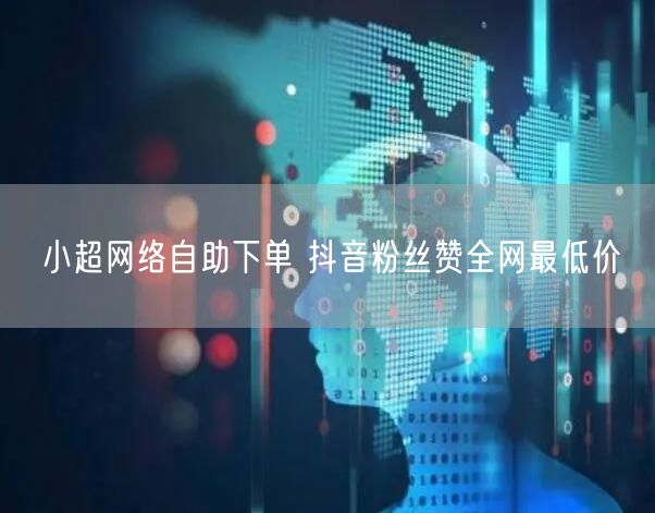 小超网络自助下单 抖音粉丝赞全网最低价