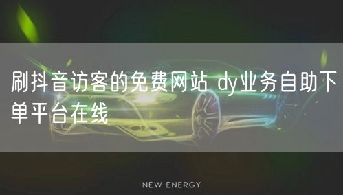 刷抖音访客的免费网站 dy业务自助下单平台在线