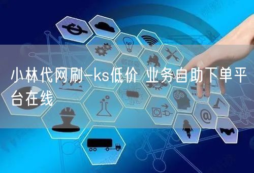 小林代网刷-ks低价 业务自助下单平台在线