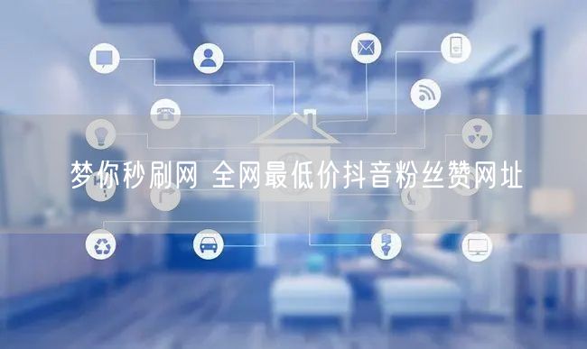 梦你秒刷网 全网最低价抖音粉丝赞网址