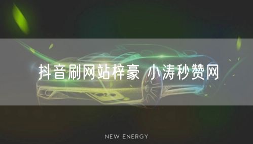 抖音刷网站梓豪 小涛秒赞网