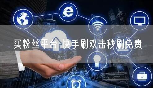 买粉丝平台 快手刷双击秒刷免费