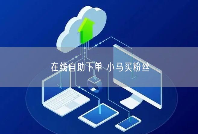 在线自助下单 小马买粉丝